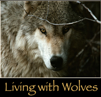 Living With Wolves